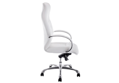 Компьютерное кресло Osiris white / satin chrome фото, изображение